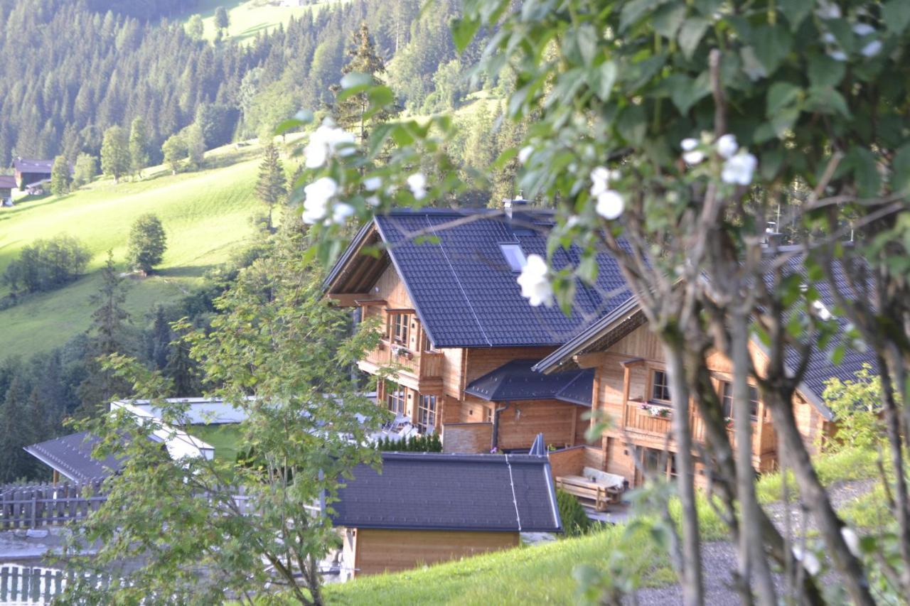 Bergseegut Chalet Und Apartment Wagrain Luaran gambar