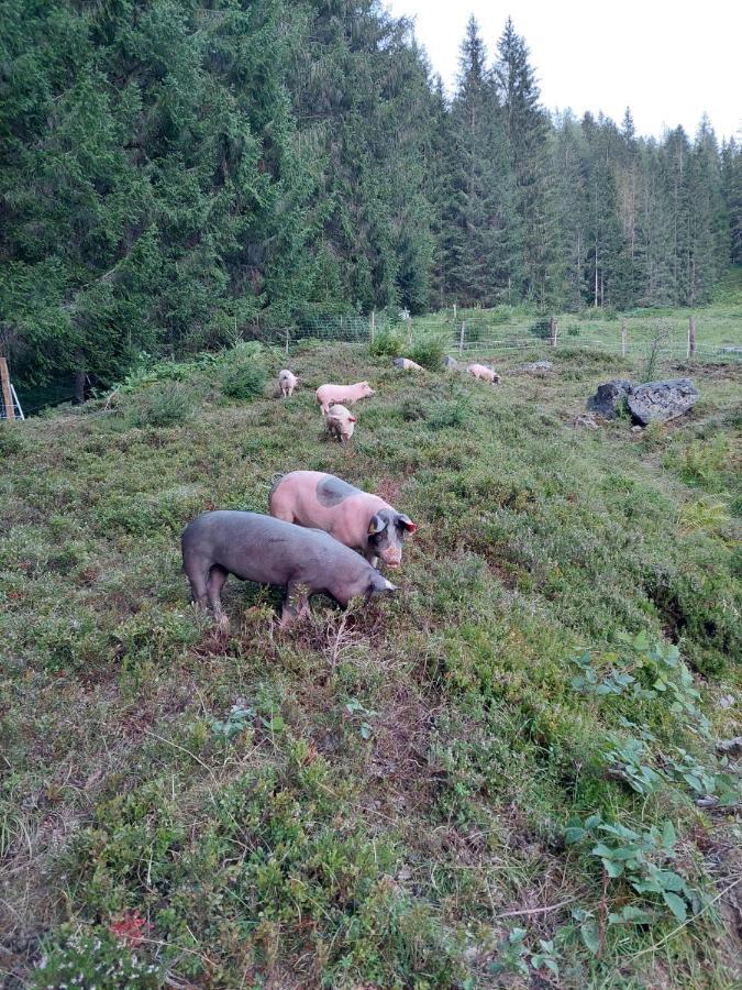 Bergseegut Chalet Und Apartment Wagrain Luaran gambar